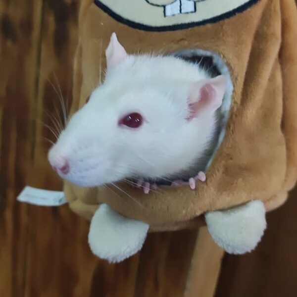 Kas saab juba laste juurde?